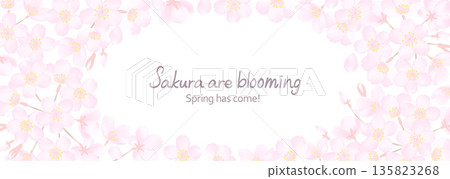 Delicate cherry blossom frame-like illustration 135823268