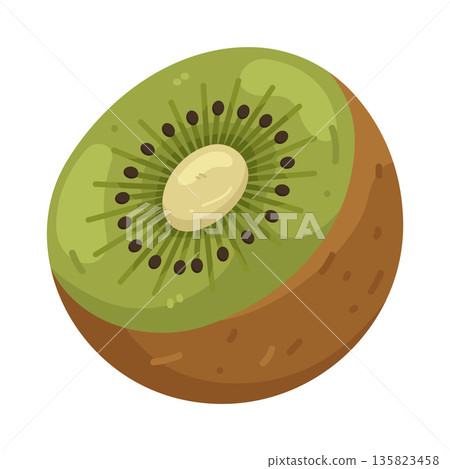 Illustration of kiwi Illustration of kiwi 135823458
