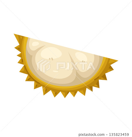 Illustration of durian Illustration of durian 135823459