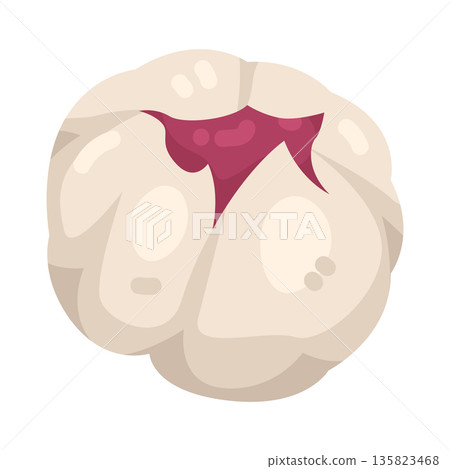 Illustration of Snowberry Illustration of Snowberry 135823468