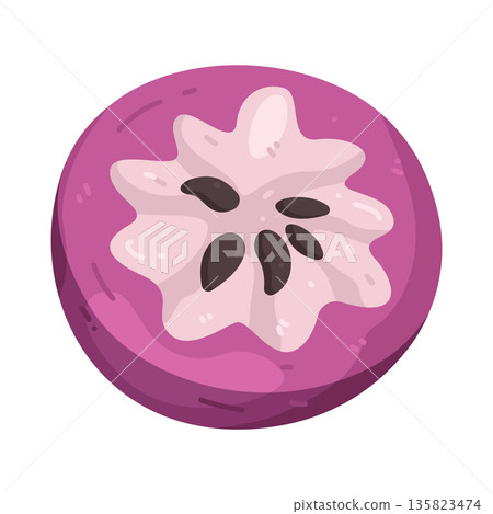 Illustration of Star Apple Illustration of Star Apple 135823474