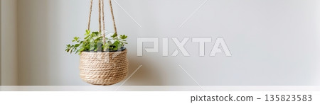 A fiber hanging planter holds a green plant, suspended from the ceiling against a white wall. This setup creates a simple home decor style with a natural look 135823583