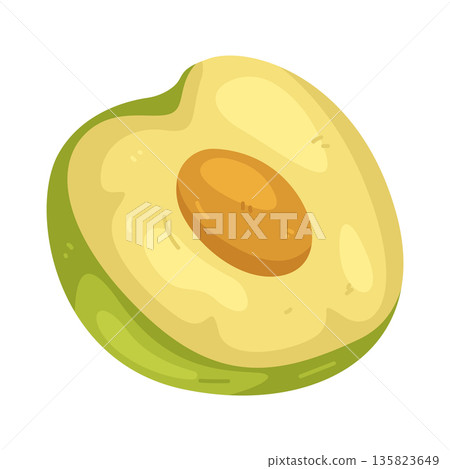 Illustration of Greengage Plum Illustration of Greengage Plum 135823649