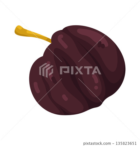 Illustration of Surinam Cherry Illustration of Surinam Cherry 135823651