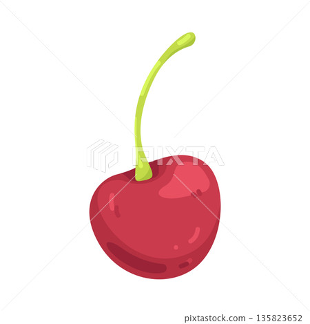 Illustration of cherry Illustration of cherry 135823652