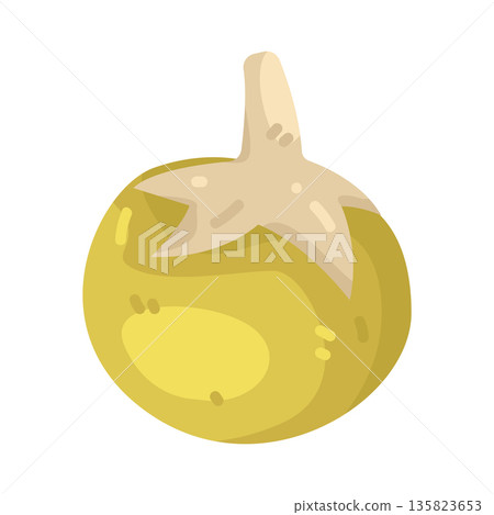 Illustration of Yellow Thai Eggplant Illustration of Yellow Thai Eggplant 135823653