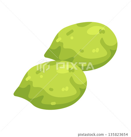 Illustration of Green Cherry Plum Illustration of Green Cherry Plum 135823654