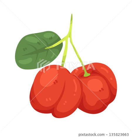 Illustration of Pitanga  135823663