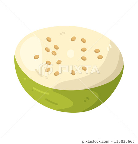Illustration of white guava Illustration of white guava 135823665
