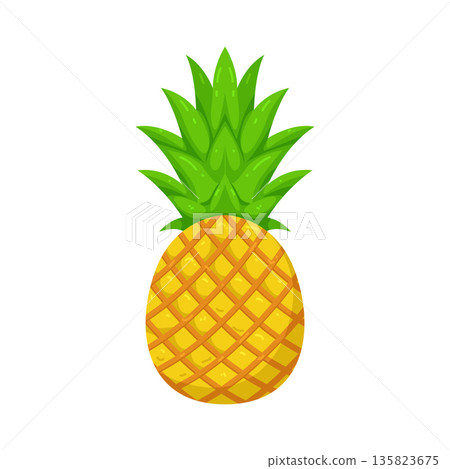 Illustration of pineapple  135823675