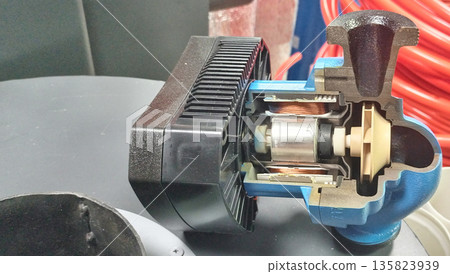 The sectional view of the circulation pump shows its internal structure: a black motor housing, copper windings, a rotor and a blue cast iron spiral housing with a plastic impeller. The sectional view of the circulation pump shows its internal structure: a black motor housing, copper windings, a rotor and a blue cast iron spiral housing with a plastic impeller. 135823939