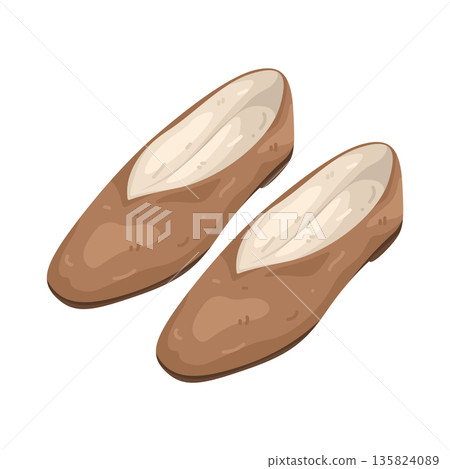 Illustration of flat shoes Illustration of flat shoes 135824089