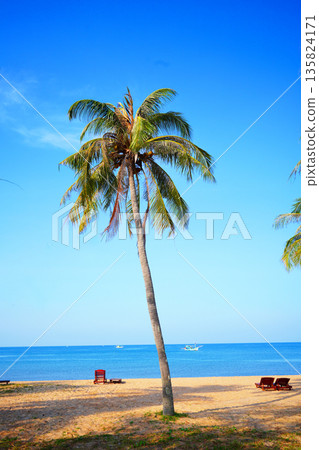 Palm tree stands on sandy beach with clear blue sky and boats in sea during daytime. Palm tree stands on sandy beach with clear blue sky and boats in sea during daytime. 135824171