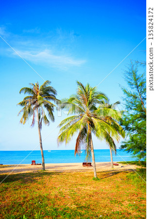 Palm tree stands on sandy beach with clear blue sky and boats in sea during daytime. Palm tree Palm tree stands on sandy beach with clear blue sky and boats in sea during daytime. Palm tree 135824172