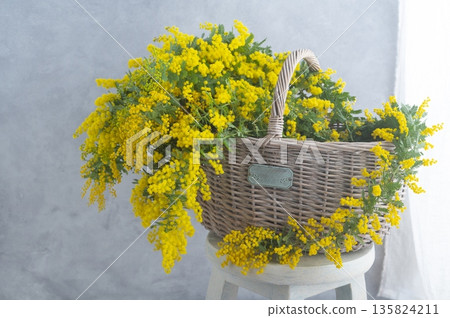 Mimosa bouquet 135824211