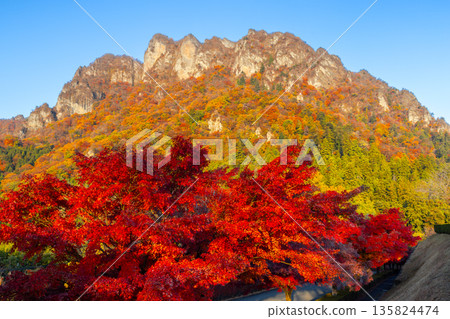 Mt. Myogi, one of Japan's three most beautiful places, with its autumn foliage and maple trees at Mt. Myogi Panorama Park in Myogicho, Tomioka City, Gunma Prefecture Mt. Myogi, one of Japan's three most beautiful places, with its autumn foliage and maple trees at Mt. Myogi Panorama Park in Myogicho, Tomioka City, Gunma Prefecture 135824474