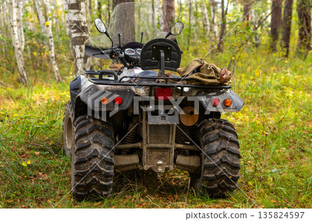 quad bike or ATV or quadbike in forest. rear view of rear view among green trees 135824597