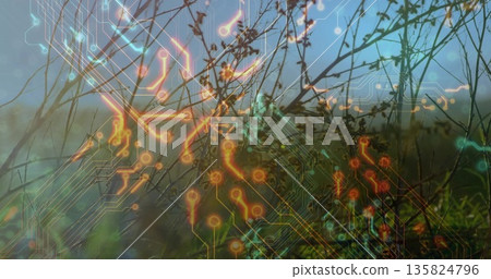 Merging dried grass stalks with neon circuit overlay in blurred meadow, technology fusion 135824796