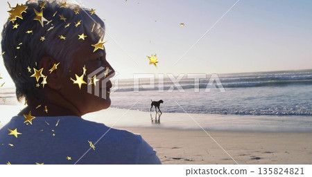 Standing woman wearing T-shirt facing horizon on beach, with dog walking, star overlay, copy space 135824821