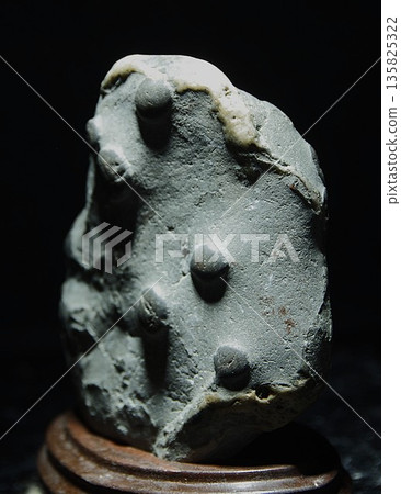 plum blossom stone 135825322