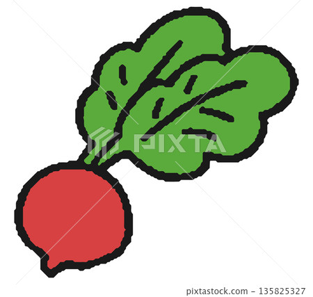 紅蘿蔔/紅蘿蔔的手繪插圖 紅蘿蔔/紅蘿蔔的手繪插圖 135825327