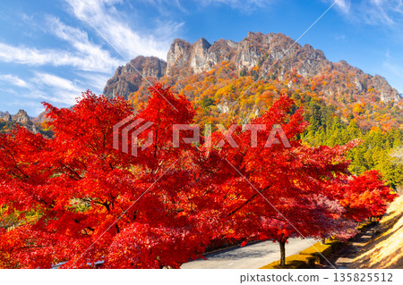 Mt. Myogi, one of Japan's three most beautiful places, with its autumn foliage and maple trees at Mt. Myogi Panorama Park in Myogicho, Tomioka City, Gunma Prefecture Mt. Myogi, one of Japan's three most beautiful places, with its autumn foliage and maple trees at Mt. Myogi Panorama Park in Myogicho, Tomioka City, Gunma Prefecture 135825512