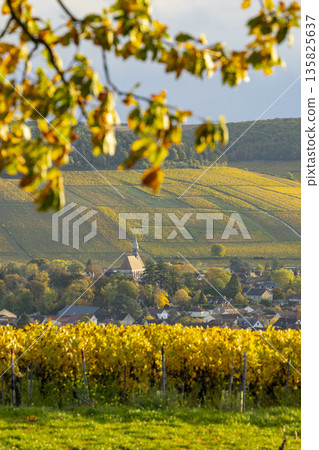 Chablis village and vineyards in autumn, Bourgogne Franche Comte Chablis village and vineyards in autumn, Bourgogne Franche Comte 135825637