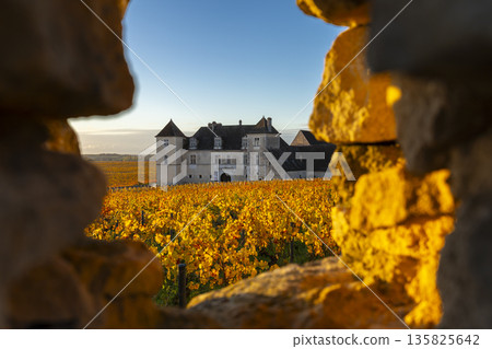 Chateau du Clos de Vougeot framed by autumn vineyard wall Chateau du Clos de Vougeot framed by autumn vineyard wall 135825642