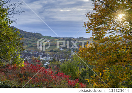 Arbois town and Jura vineyards in colorful autumn Arbois town and Jura vineyards in colorful autumn 135825644