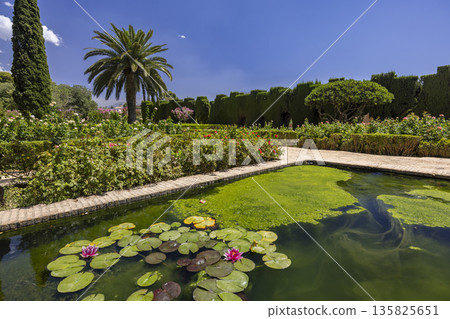 Generalife gardens pond with blooming water lilies 135825651