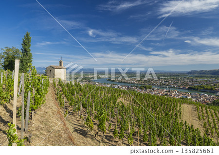 Rhone valley vineyard chapel overlooking Tain l'Hermitage Rhone valley vineyard chapel overlooking Tain l'Hermitage 135825661