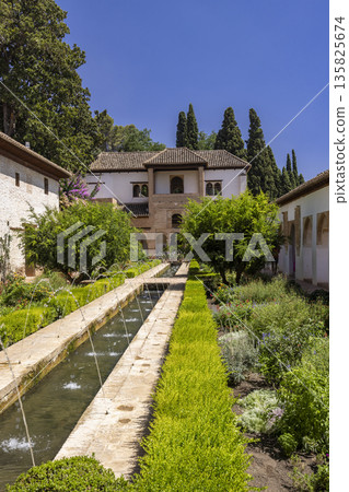 Generalife water garden and palace complex, ALHAMBRA, Granada, Spain 135825674