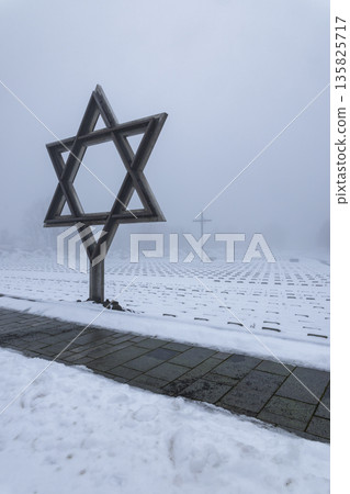Star of David at Terezin National Cemetery on a snowy, foggy day 135825717