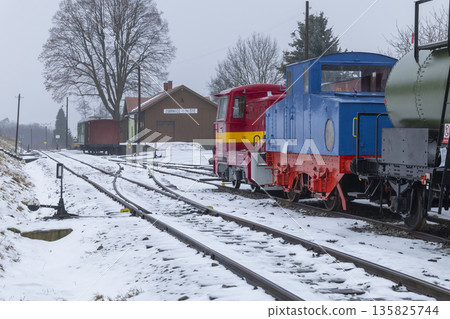 Historic diesel locomotives standing at Zubrnice railway station 135825744
