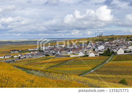 Verzenay village with autumn Champagne vineyards Verzenay village with autumn Champagne vineyards 135825771