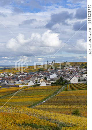 Verzenay village and autumn champagne vineyards, Grand Est France Verzenay village and autumn champagne vineyards, Grand Est France 135825772