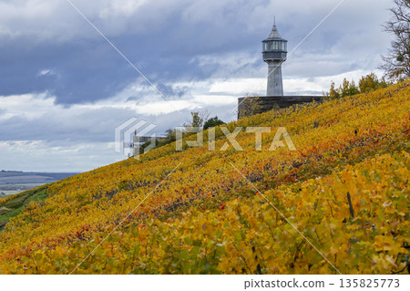 Verzenay lighthouse standing above vibrant autumn vineyard Verzenay lighthouse standing above vibrant autumn vineyard 135825773
