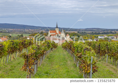 Vineyard rows leading to church in Pulkau, Lower Austria 135825870