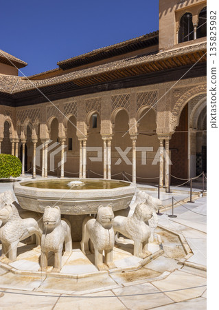 Lions fountain in Court of the Lions, Alhambra, Granada, Spain 135825982