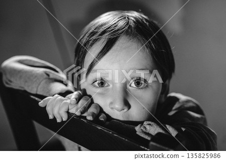 Child Gazing Over Chair in Black and White Child Gazing Over Chair in Black and White 135825986