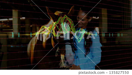 Examining veterinarian holding horse halter inside wooden stable, waveform overlay, copy space Examining veterinarian holding horse halter inside wooden stable, waveform overlay, copy space 135827550