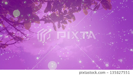 Glowing leafy branches reaching through purple sky in park at dusk, with glowing orbs and sparkles Glowing leafy branches reaching through purple sky in park at dusk, with glowing orbs and sparkles 135827551