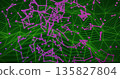 Displaying purple nodes with connecting lines over green wireframe mesh grid in digital environment 135827804