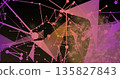 Showing abstract network in digital space, with nodes, lines, spheres, triangles and dots 135827843