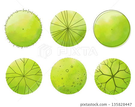 一套用於平面圖的樹狀圖 一套用於平面圖的樹狀圖 135828447