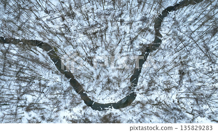 River Strhanec meander flood forest wetland in winter snow ice frost aerial drone birds meandering view shot fallen trees wood national nature reserve Zebracka Becva. Dynamic floodplain forest 135829283
