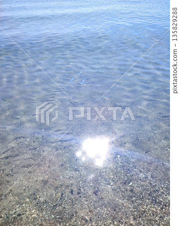 Clean transparent water on shallow sandy seashore with shells with shells on sunny summer day. Sun glare on surface of water. Small waves on sea coast. Nature backdrop. Natural background 135829288