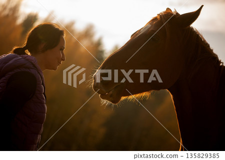 Calm Eye Contact Between Woman And Horse At Dusk Calm Eye Contact Between Woman And Horse At Dusk 135829385