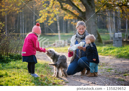 Child Gently Touching Dog Outdoors 135829652