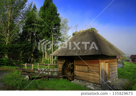 Thatched roof village in a Gassho-style village 135829673